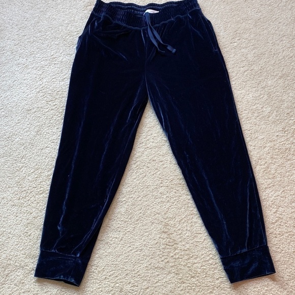 FABLETICS Daria Luxe Velour Navy Jogger Size Large - Picture 5 of 10